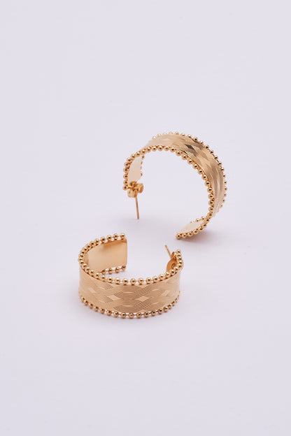 Stainless Steel Earrings 122E1552