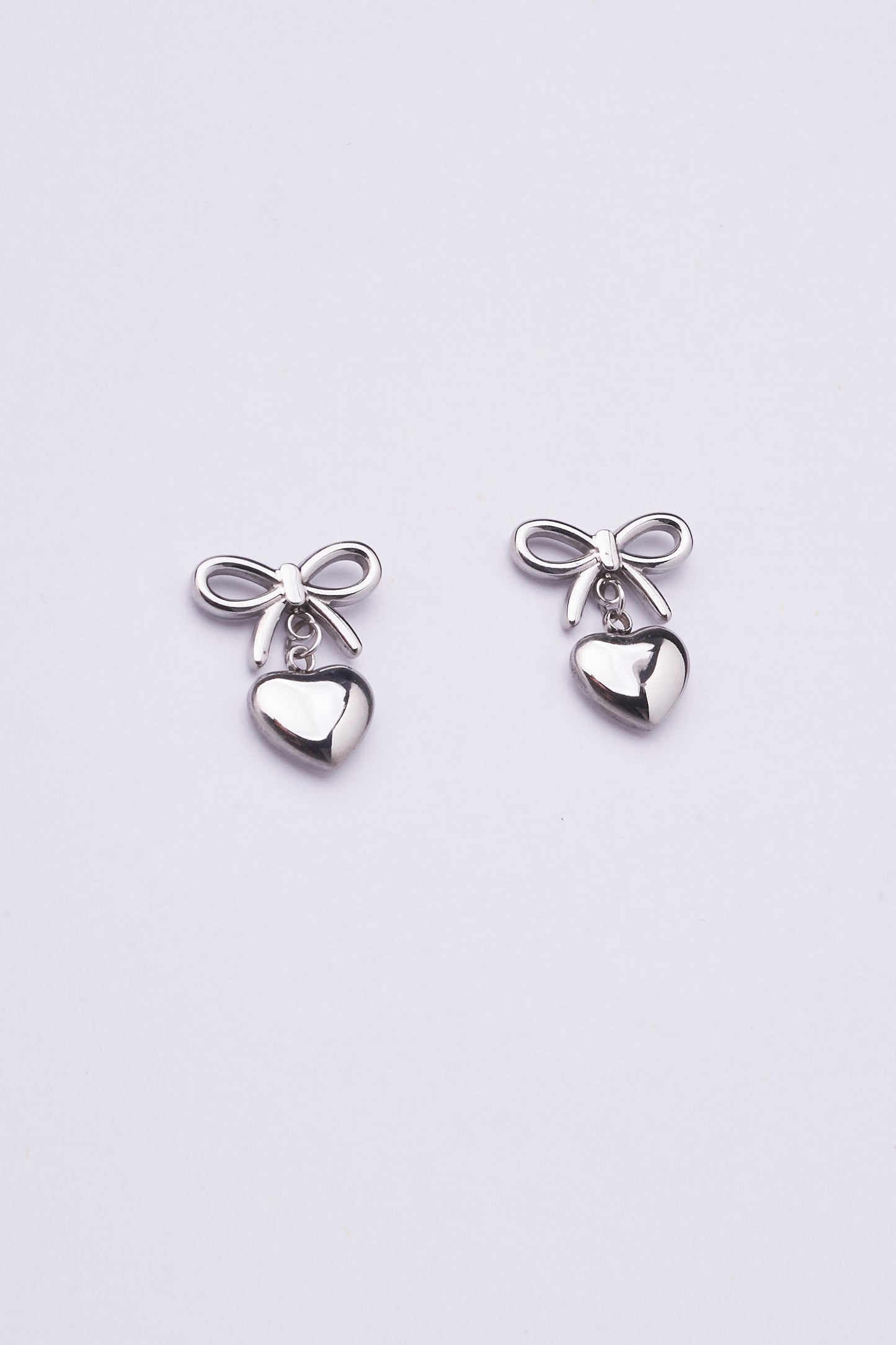 Stainless Steel Earrings 122E1547