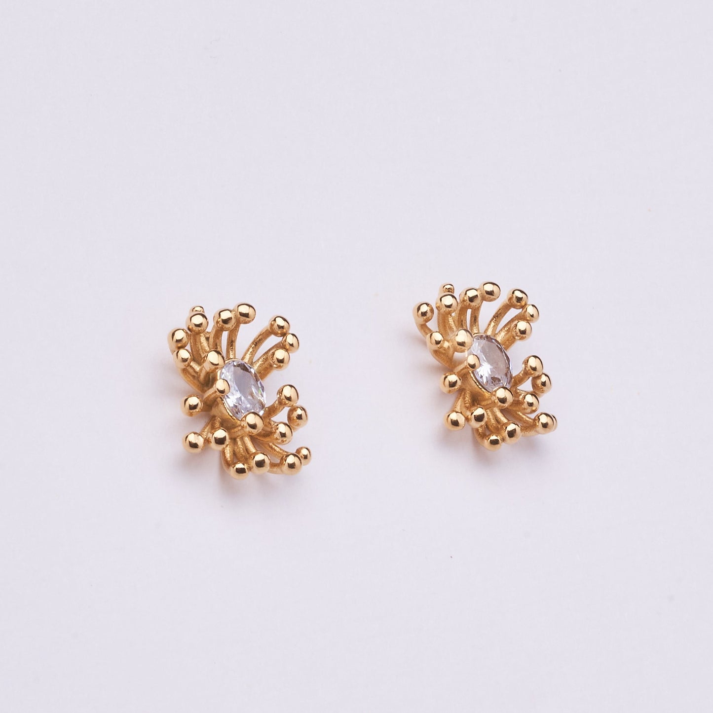 Stainless Steel Earring 123E2270