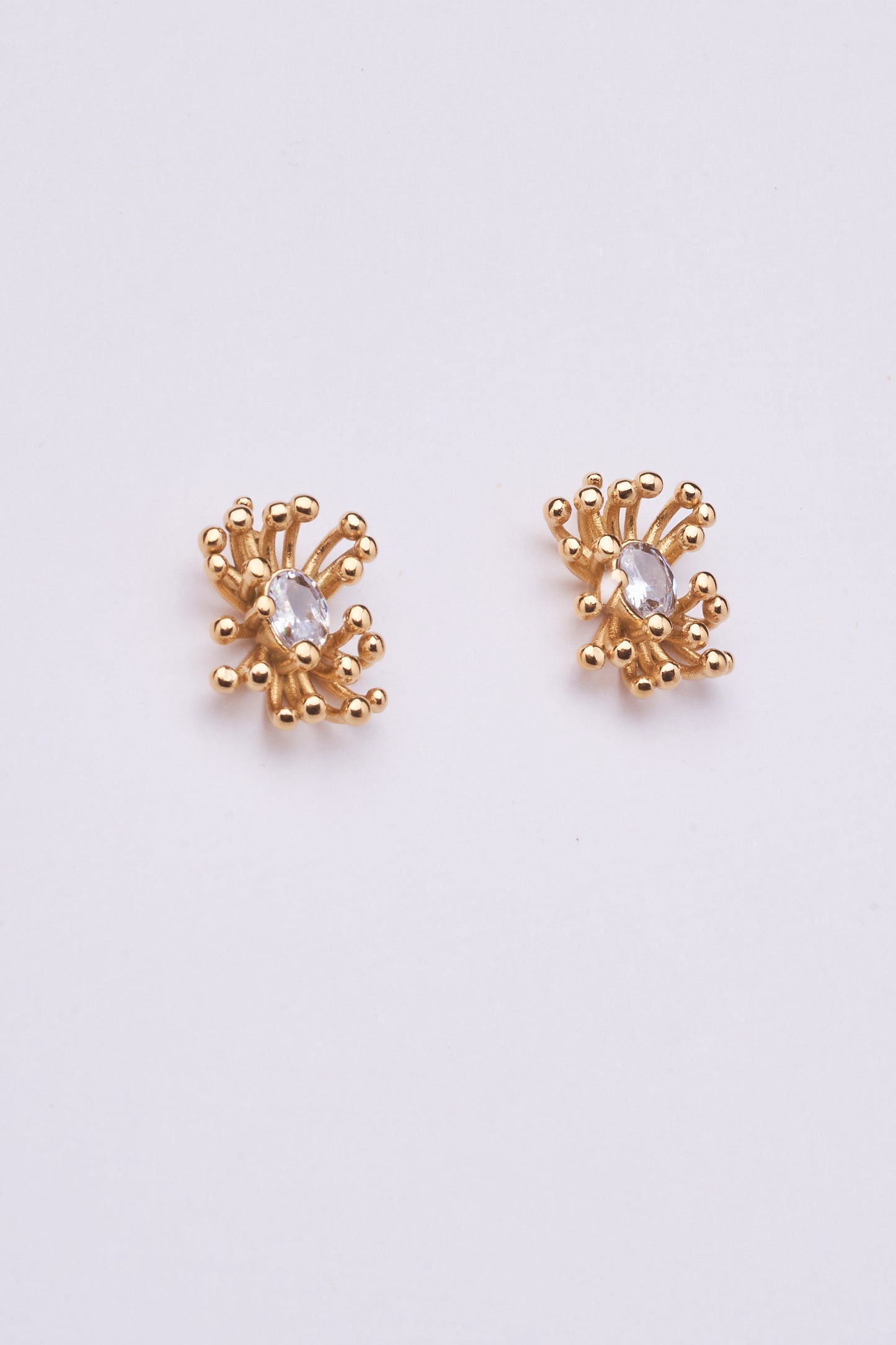 Stainless Steel Earring 123E2270