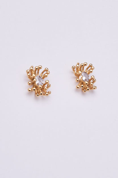 Stainless Steel Earring 123E2270