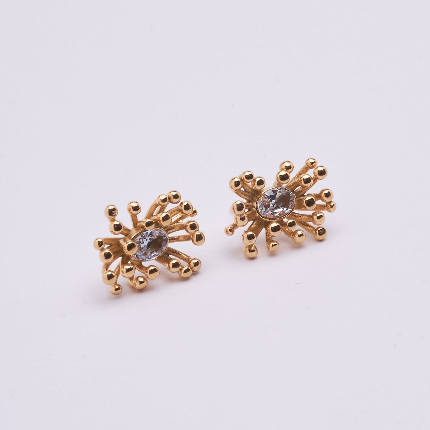 Stainless Steel Earring 123E2270