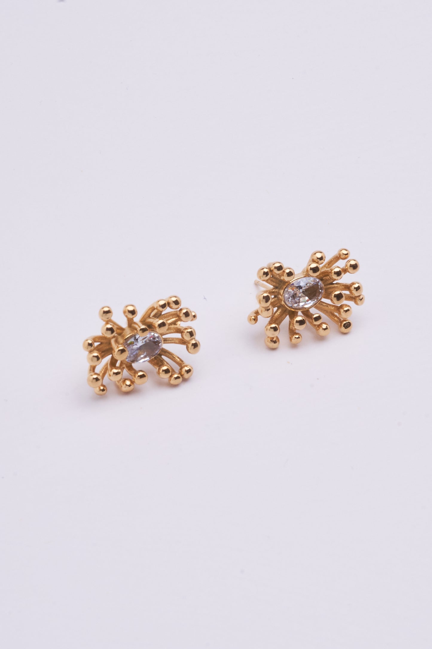 Stainless Steel Earring 123E2270