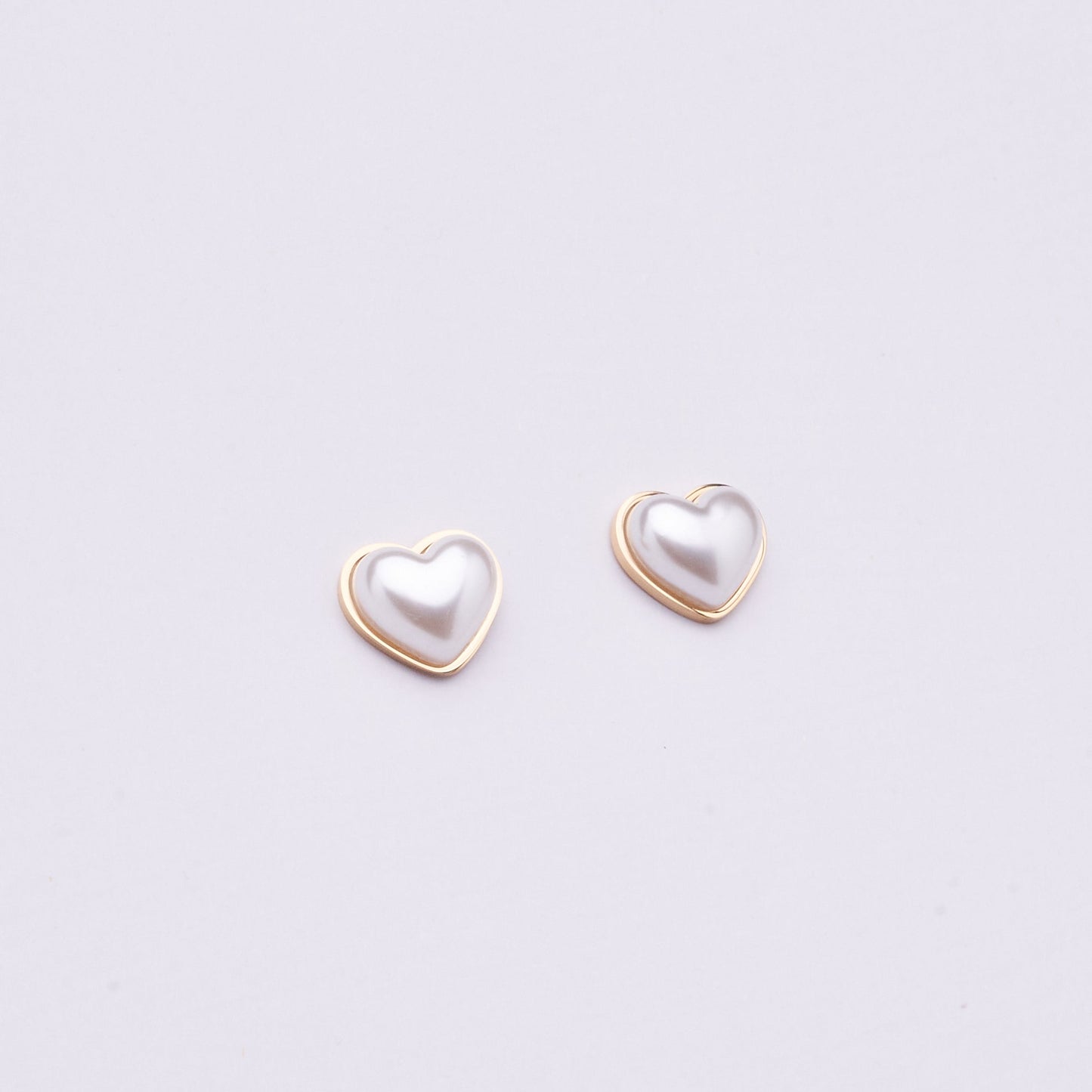 Stainless Steel Earring 123E2272