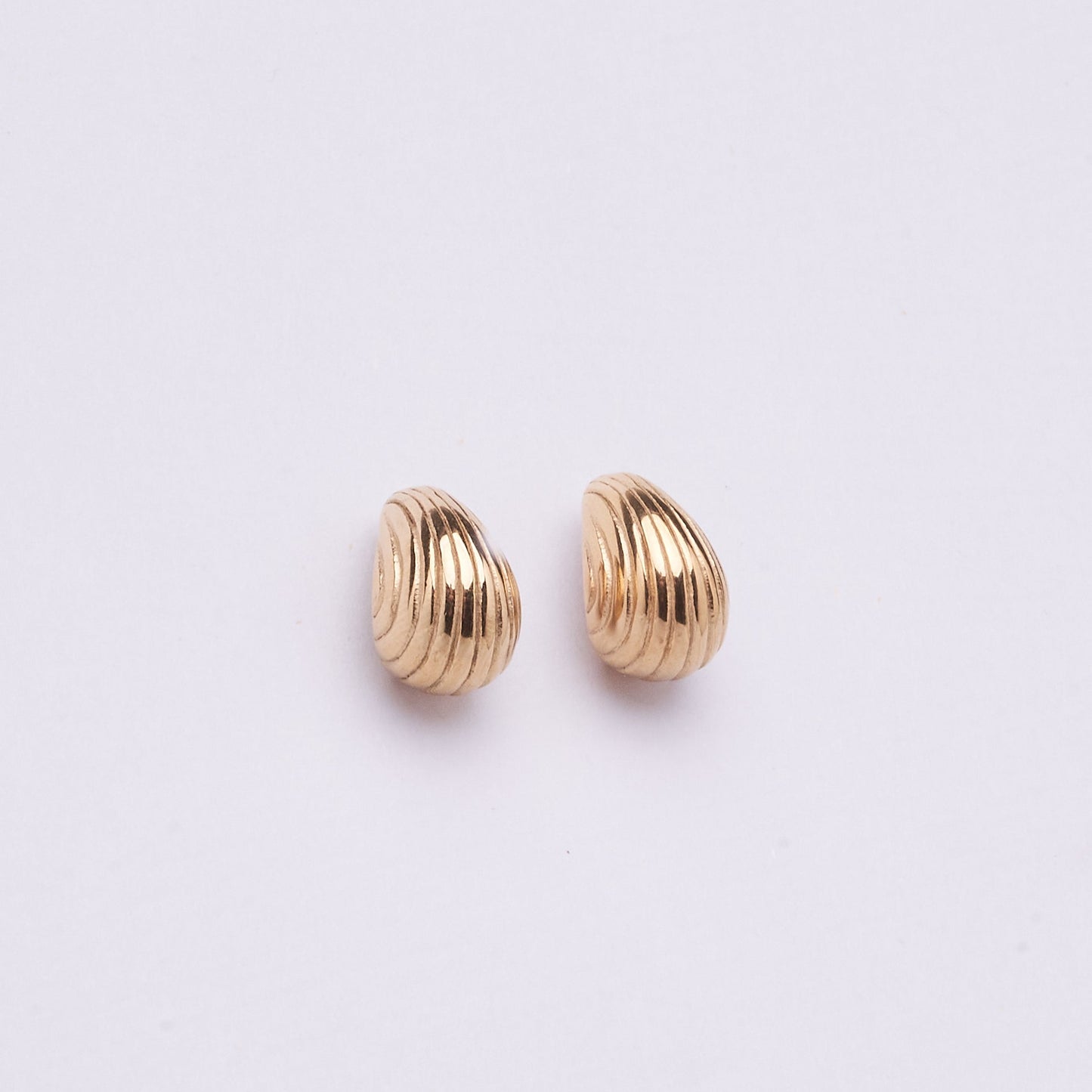 Stainless Steel Earring 123E2258