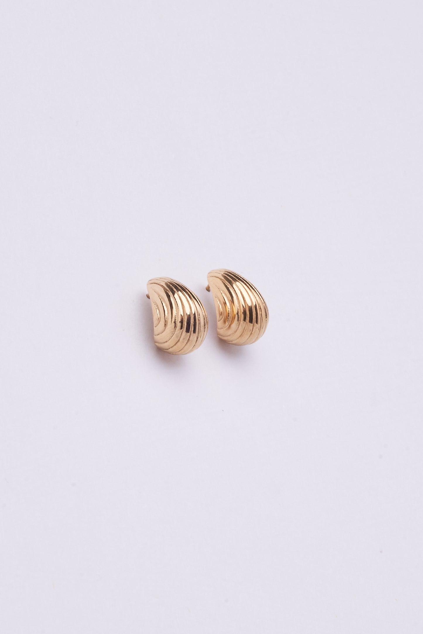 Stainless Steel Earring 123E2258