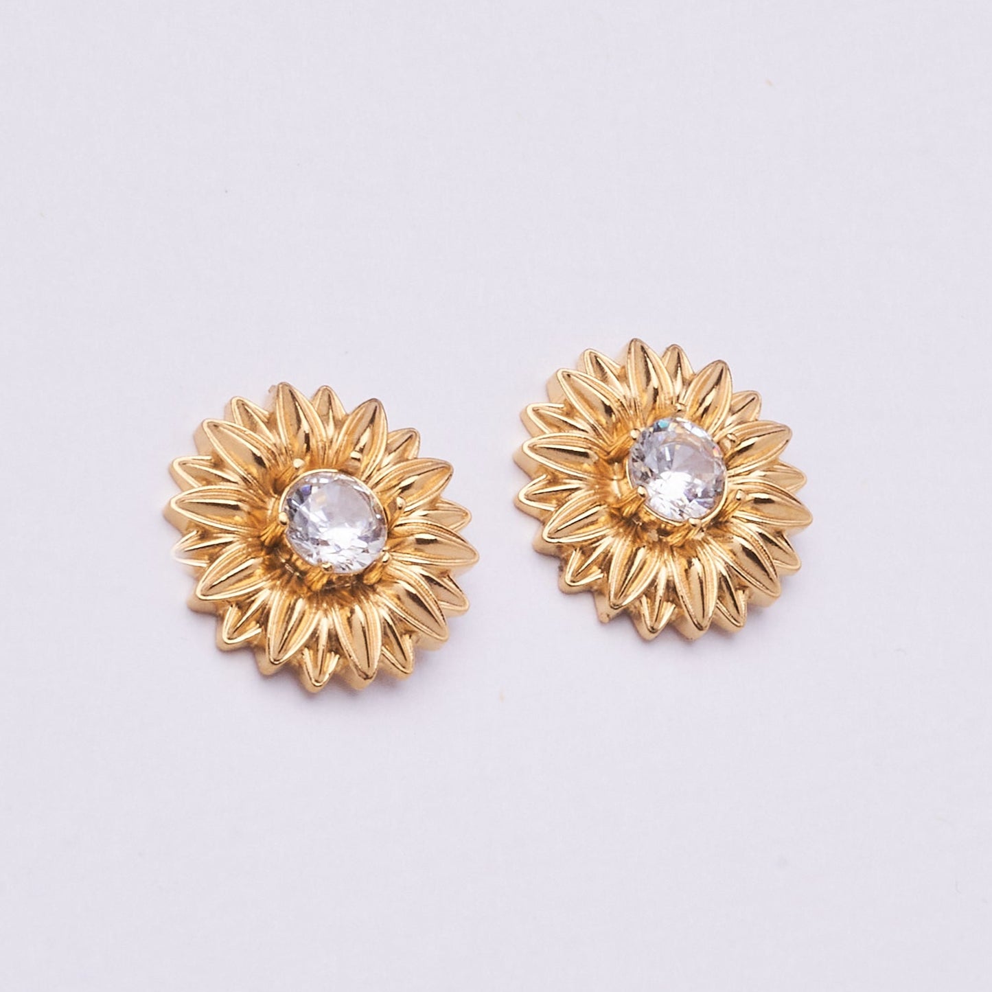 Stainless Steel Earring 123E2273
