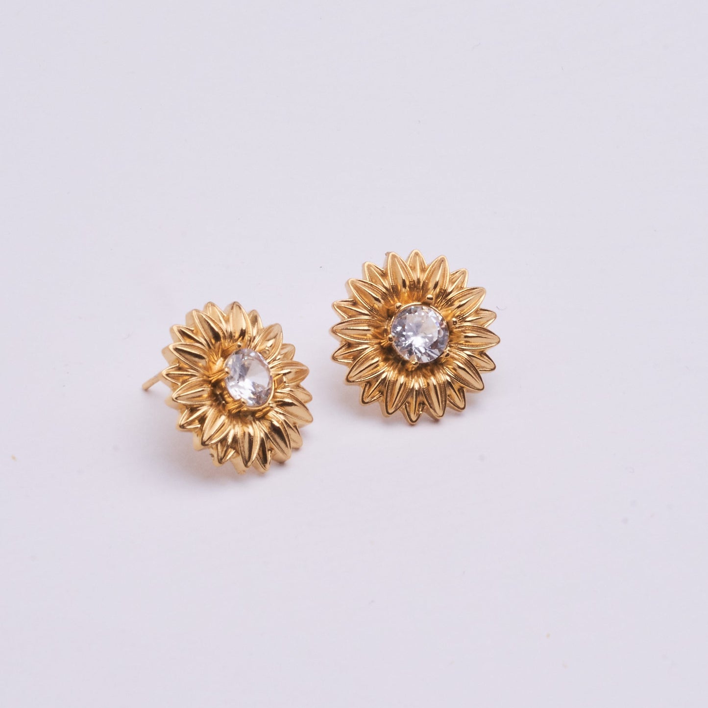 Stainless Steel Earring 123E2273