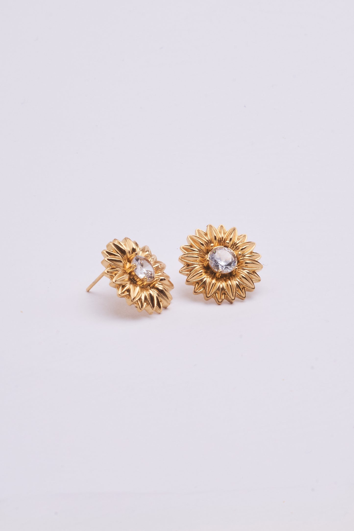 Stainless Steel Earring 123E2273