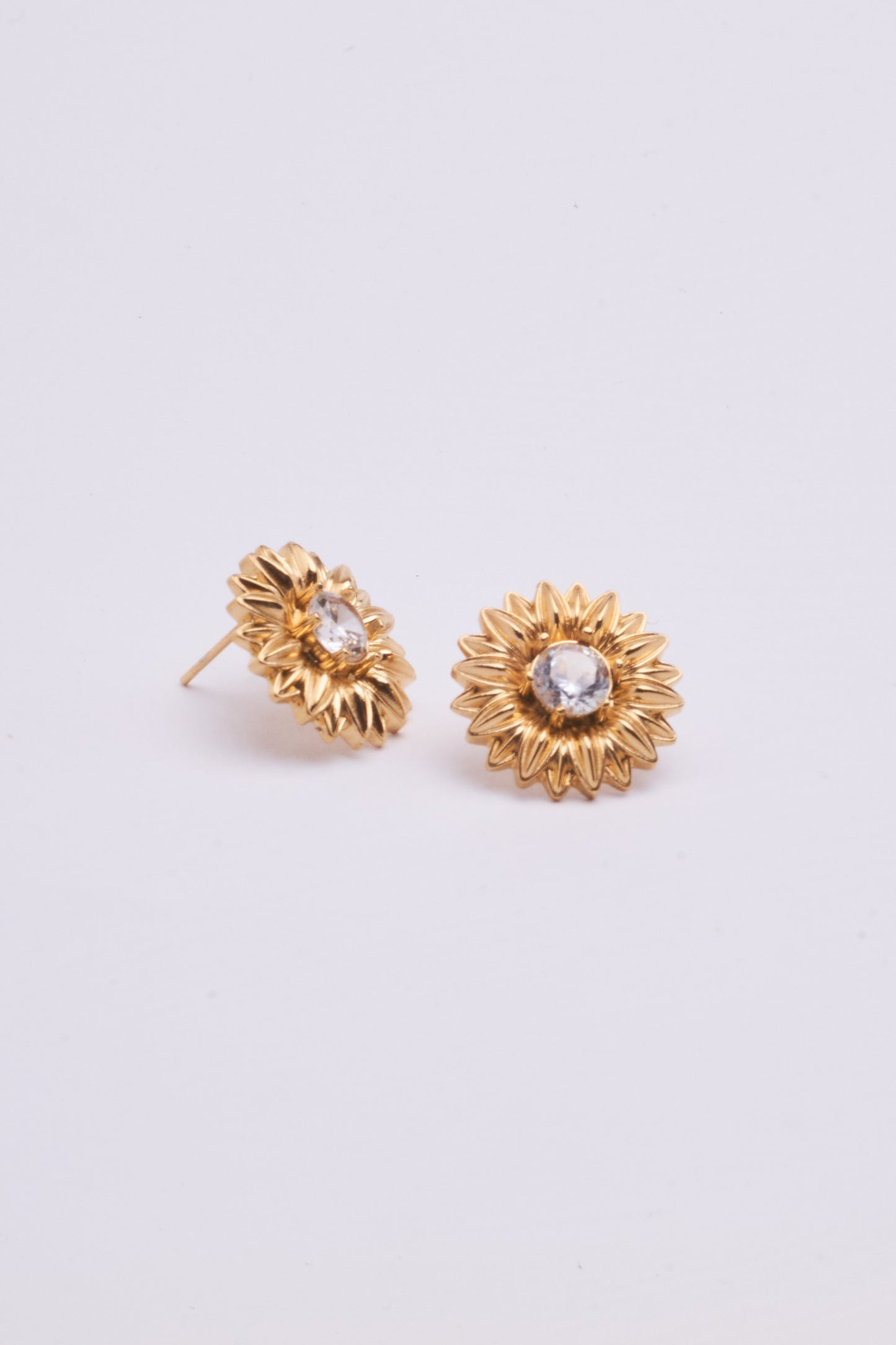 Stainless Steel Earring 123E2273