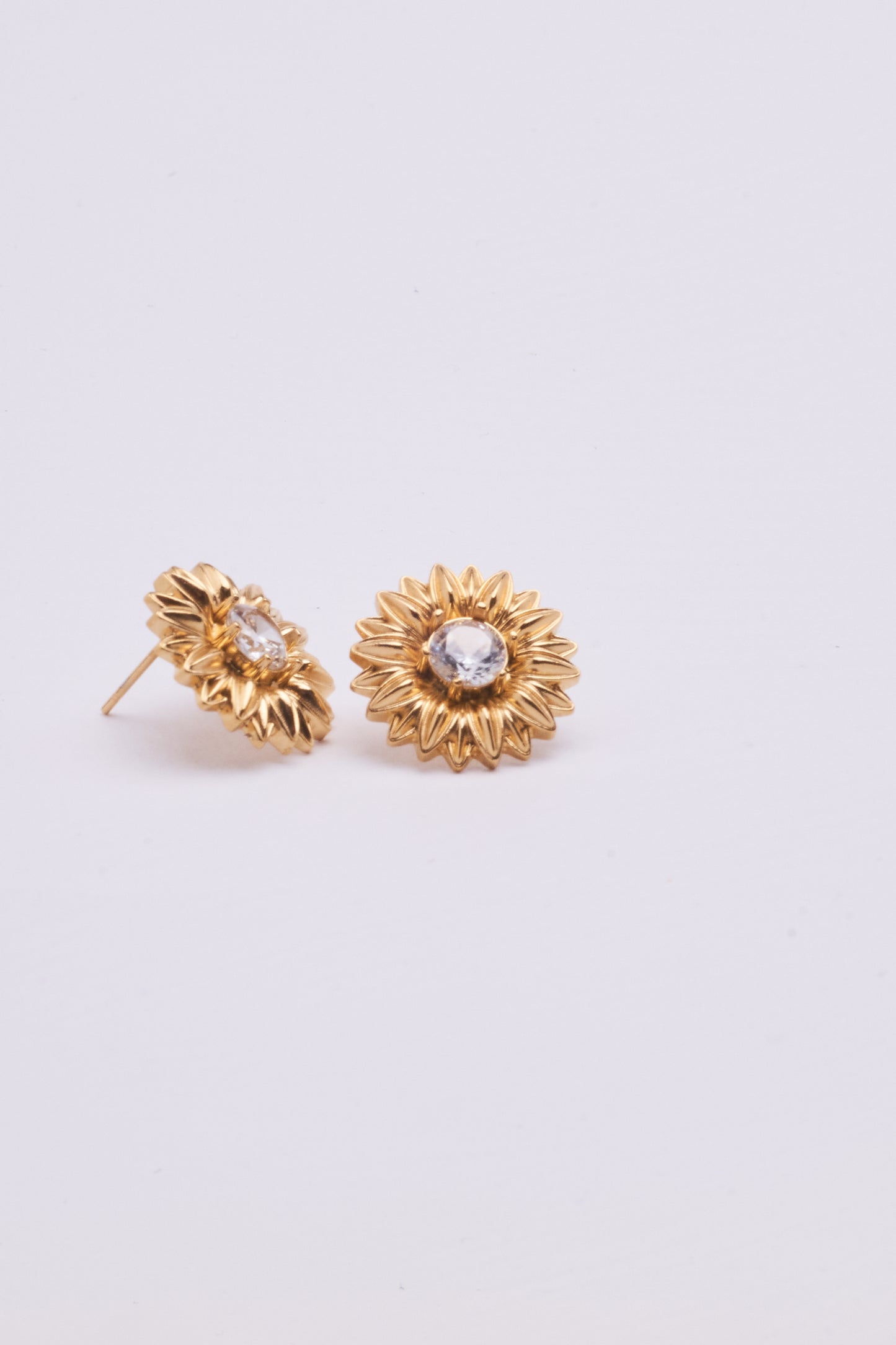 Stainless Steel Earring 123E2273