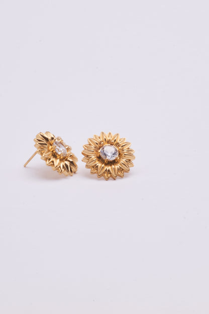 Stainless Steel Earring 123E2273