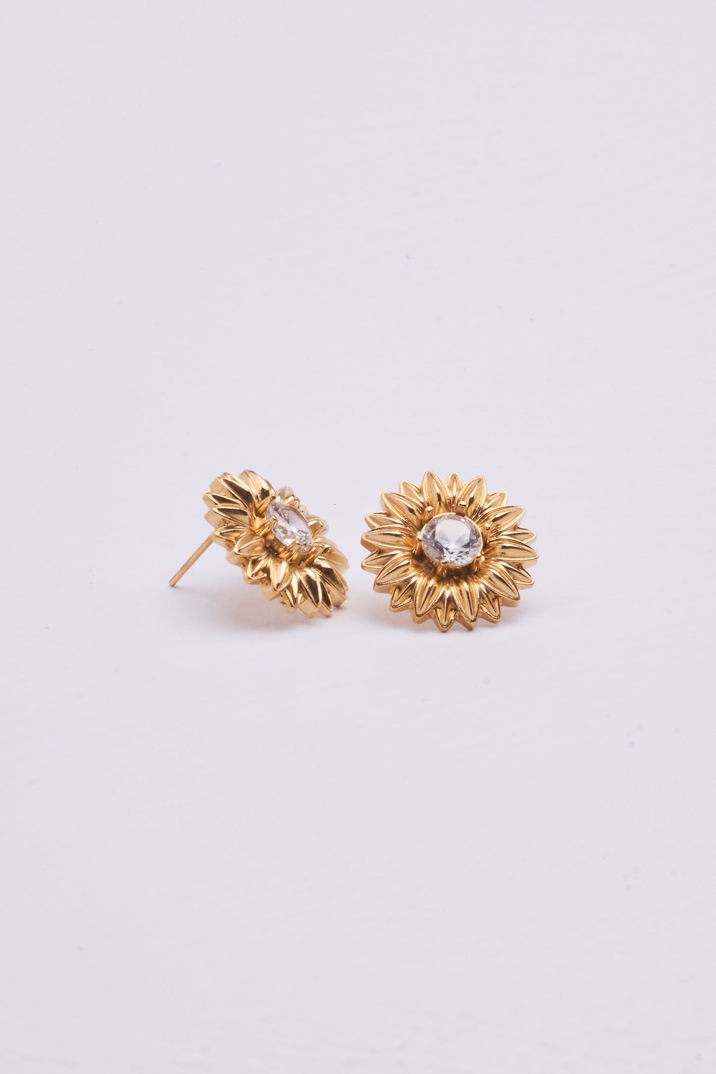 Stainless Steel Earring 123E2273