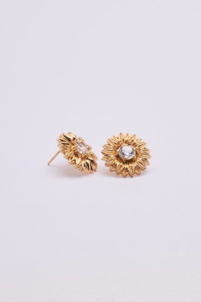 Stainless Steel Earring 123E2273