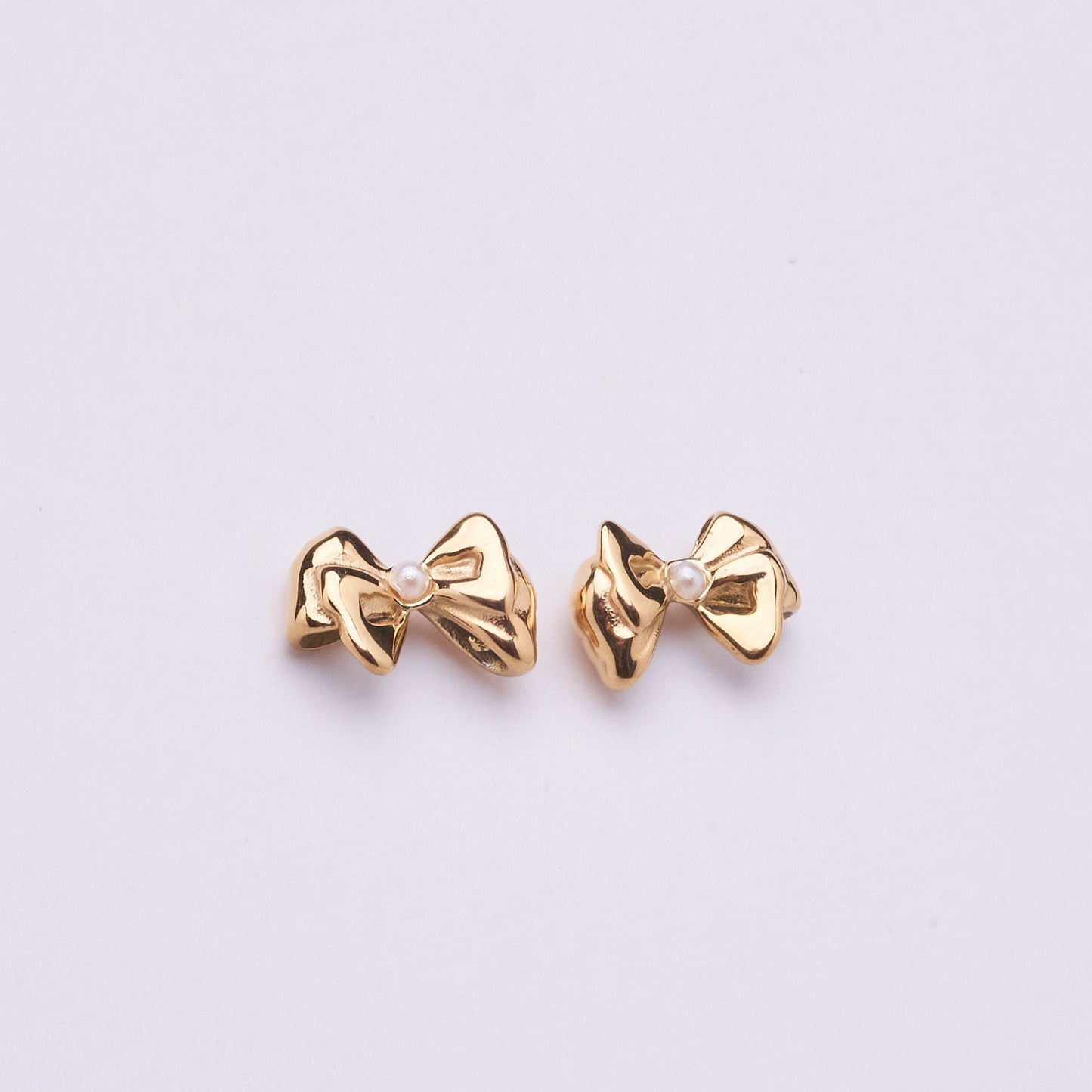 Stainless Steel Earring 123E2261
