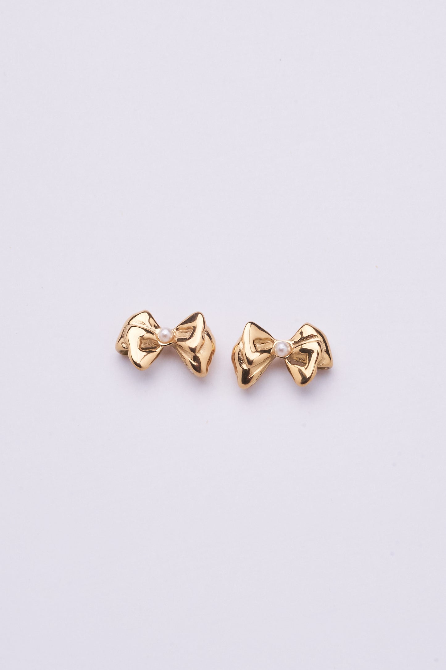 Stainless Steel Earring 123E2261