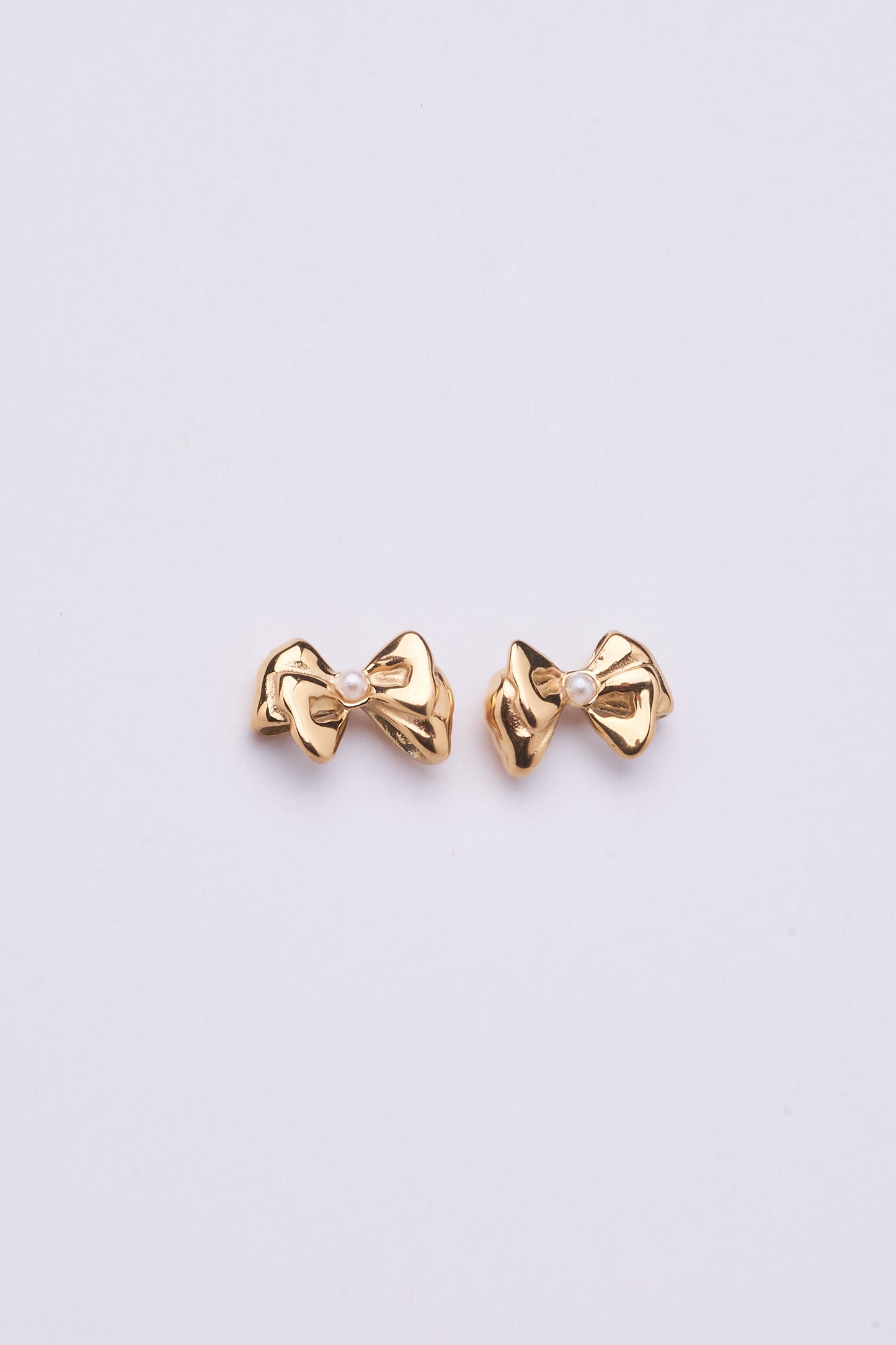 Stainless Steel Earring 123E2261