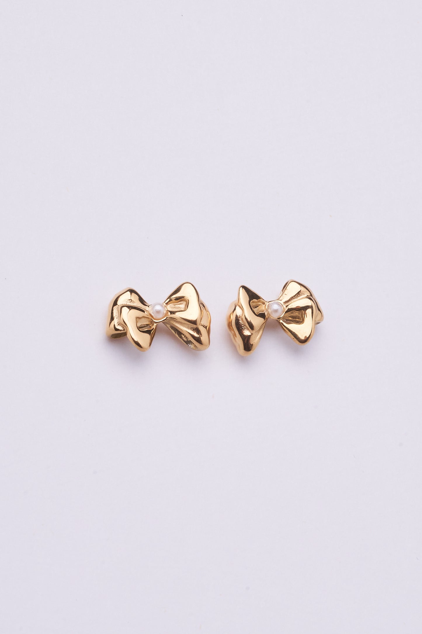 Stainless Steel Earring 123E2261