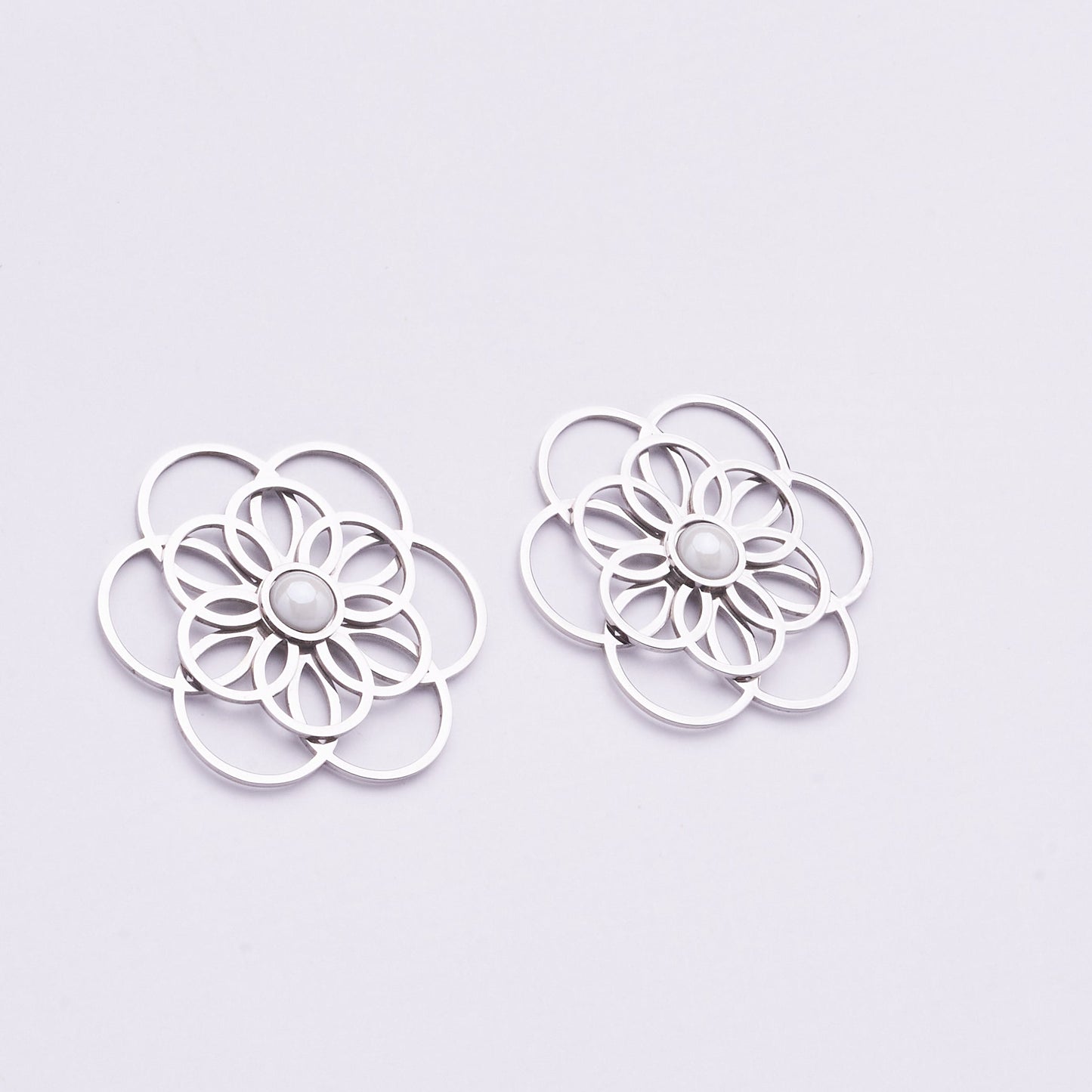 Stainless Steel Earrings 122E1543