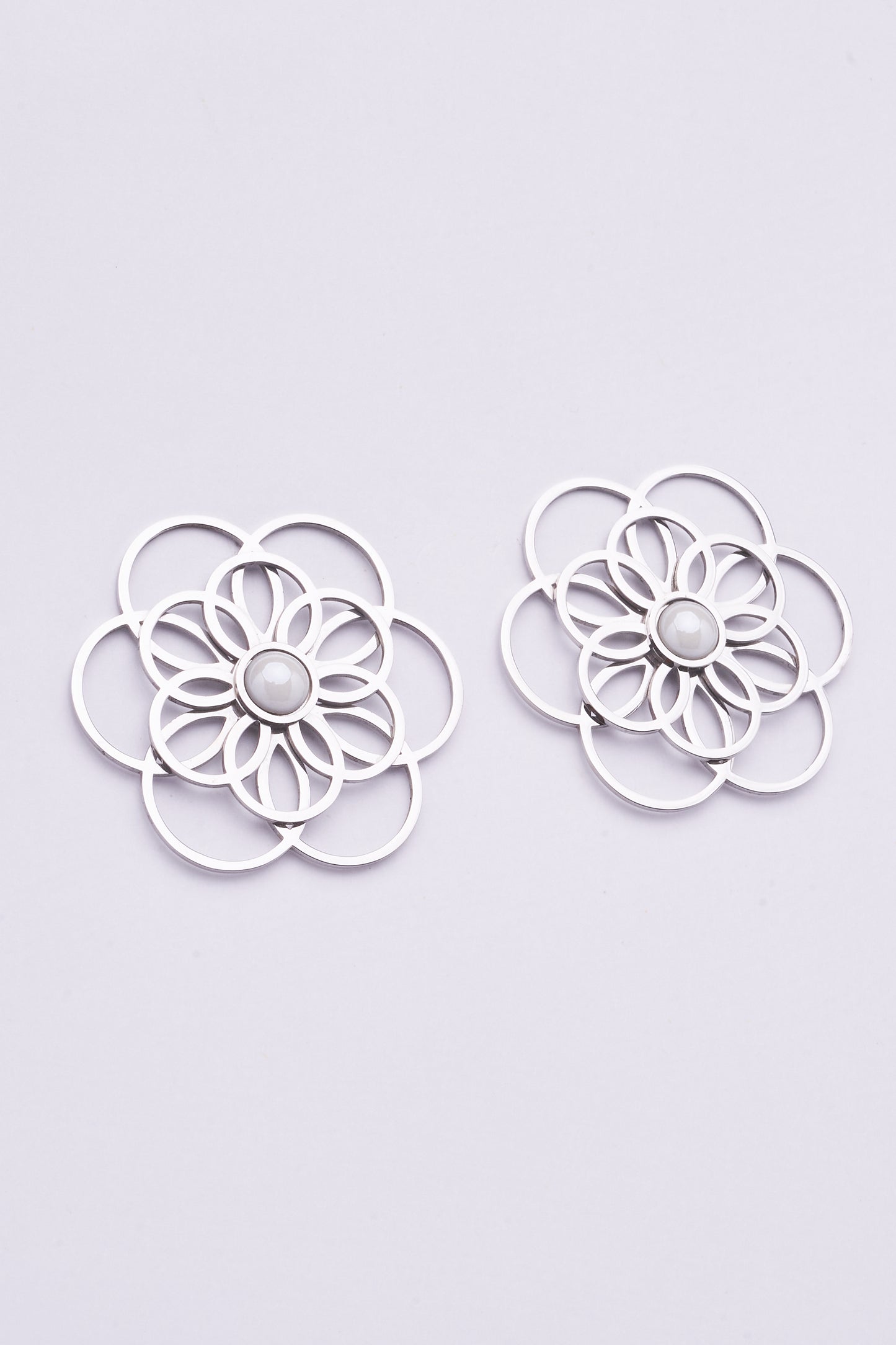 Stainless Steel Earrings 122E1543