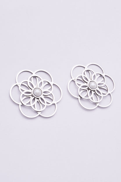 Stainless Steel Earrings 122E1543