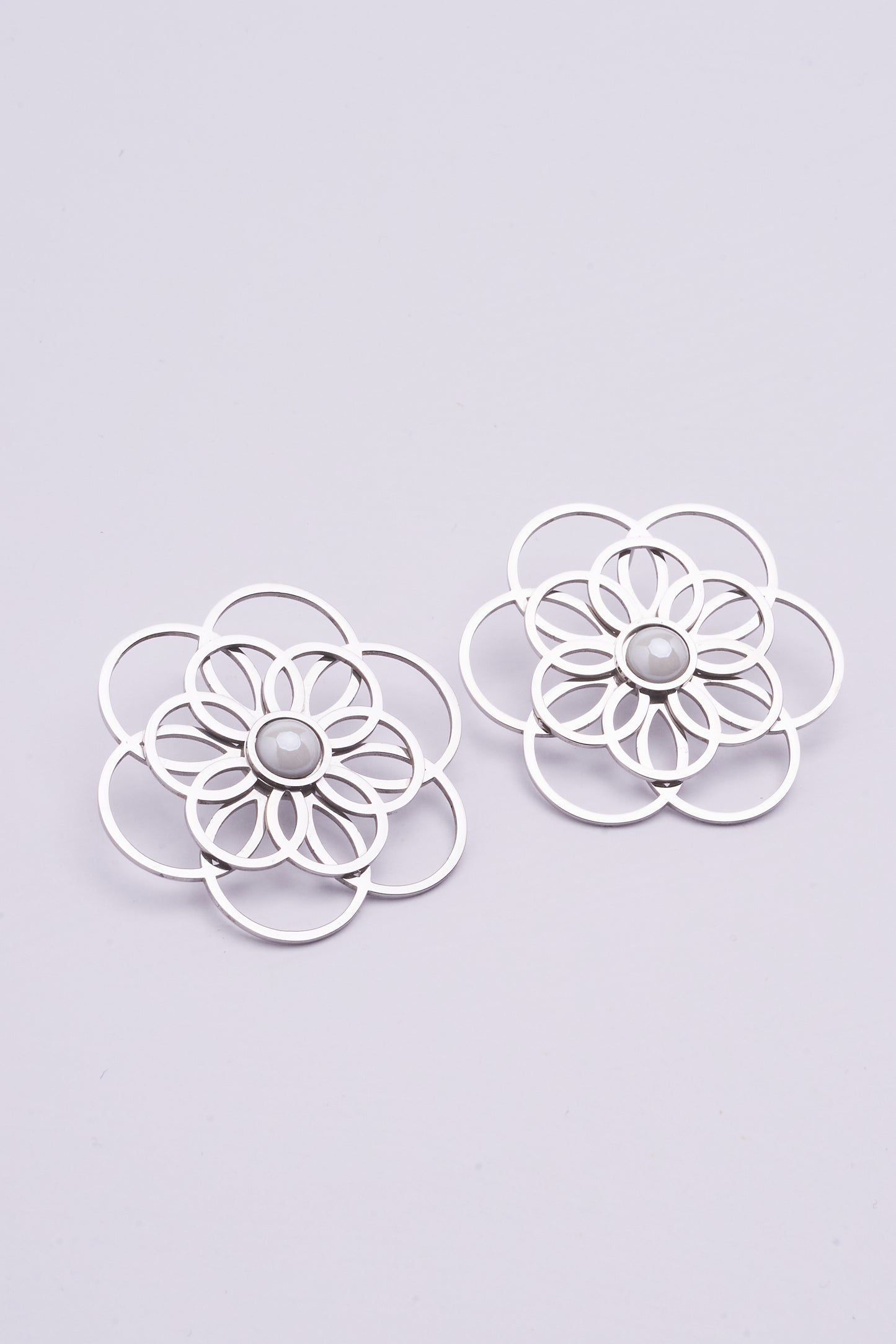 Stainless Steel Earrings 122E1543