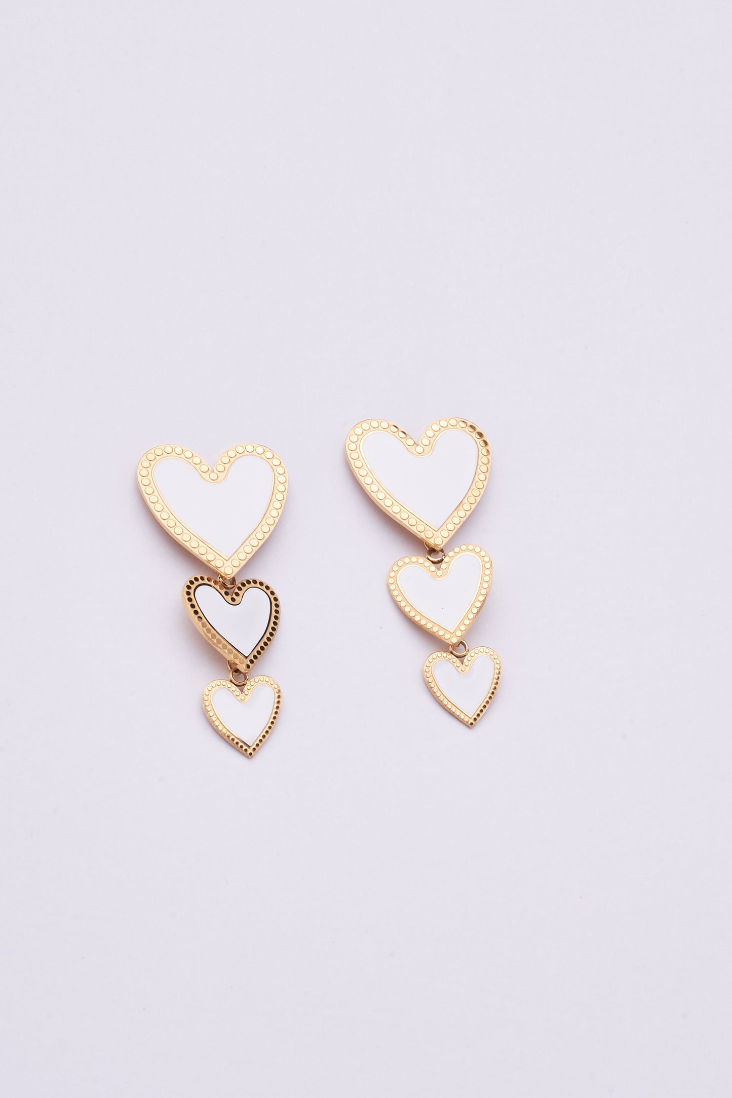 Stainless Steel Earring 122E1500