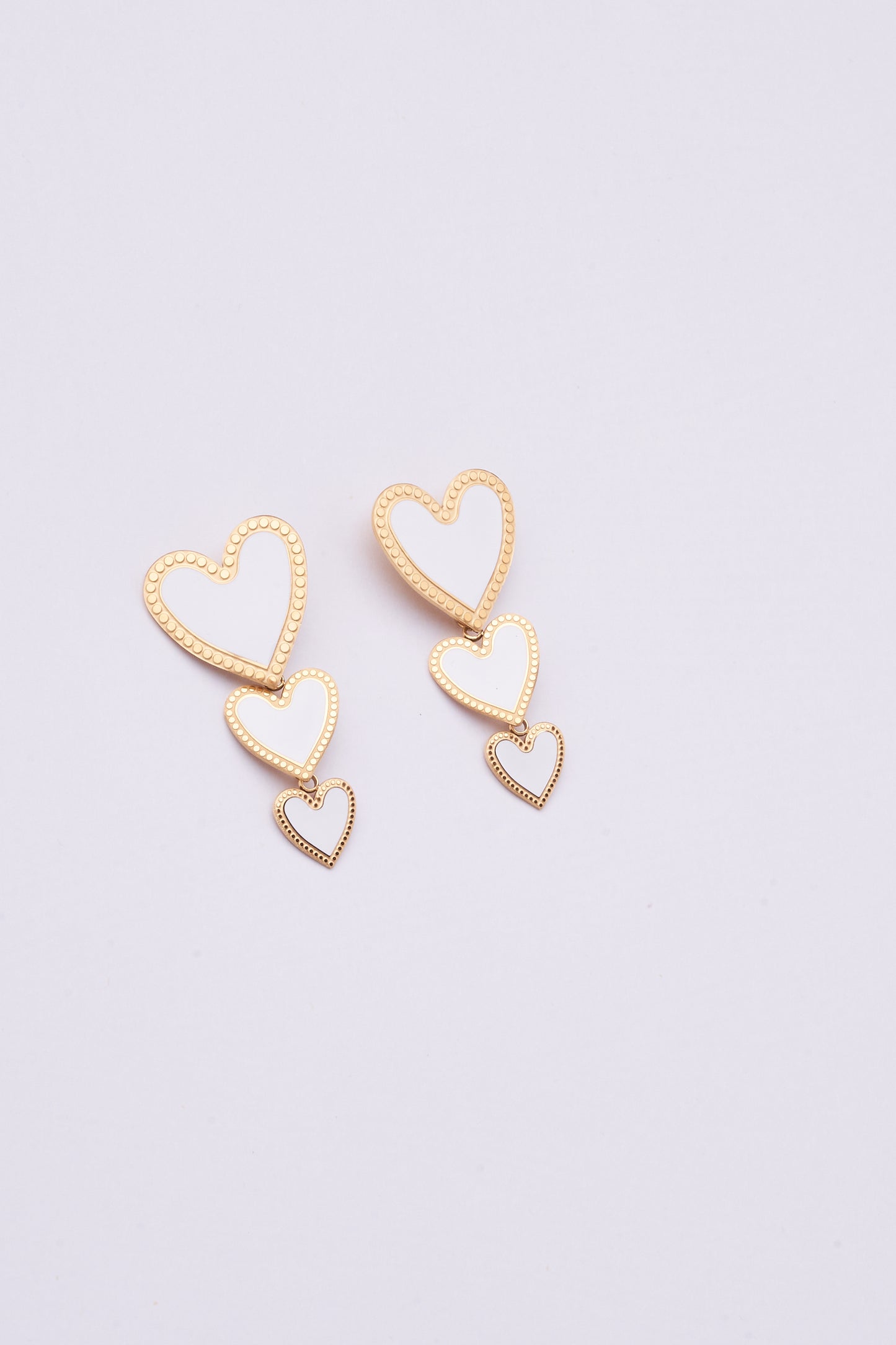 Stainless Steel Earring 122E1500
