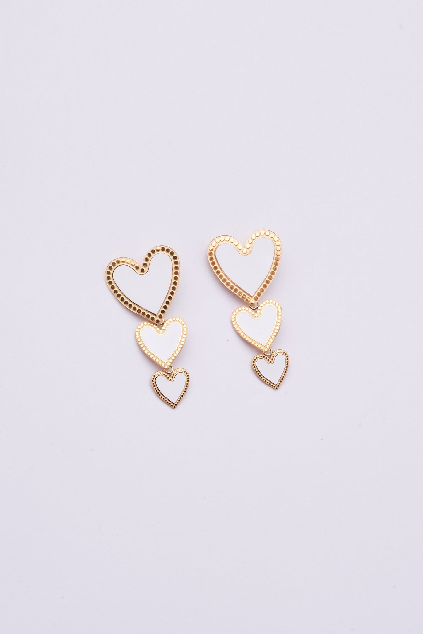 Stainless Steel Earring 122E1500