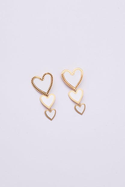 Stainless Steel Earring 122E1500