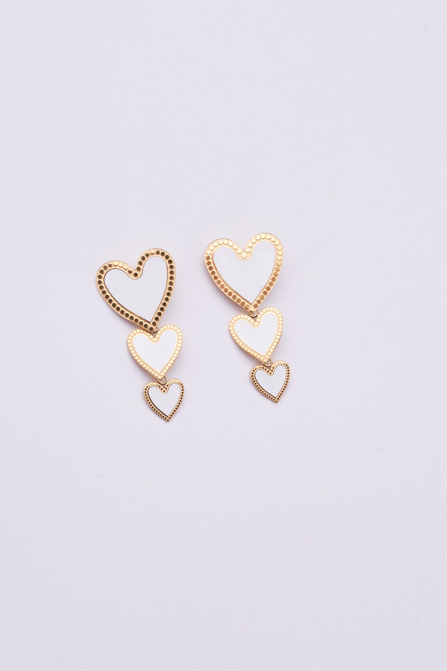 Stainless Steel Earring 122E1500