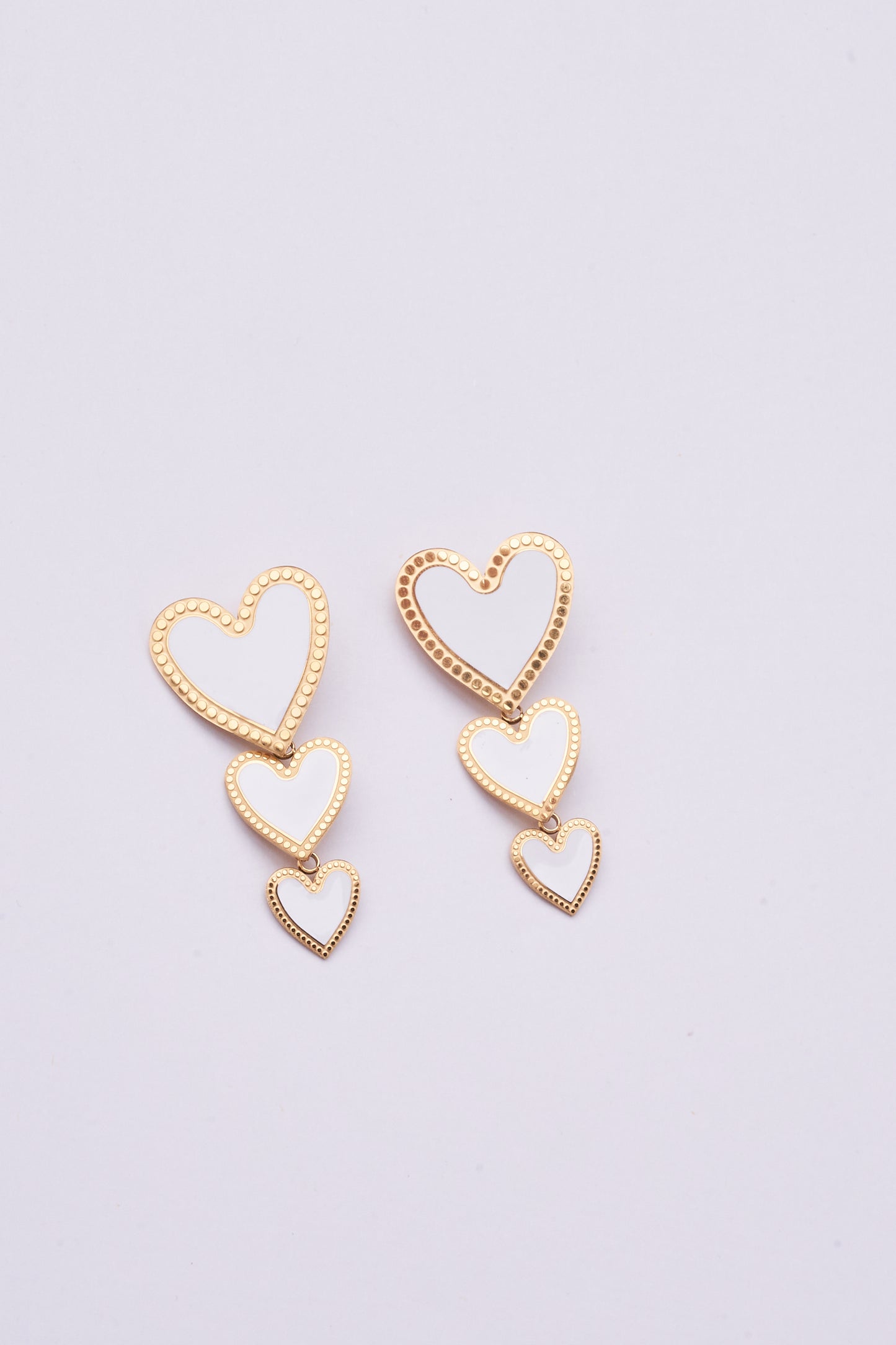 Stainless Steel Earring 122E1500