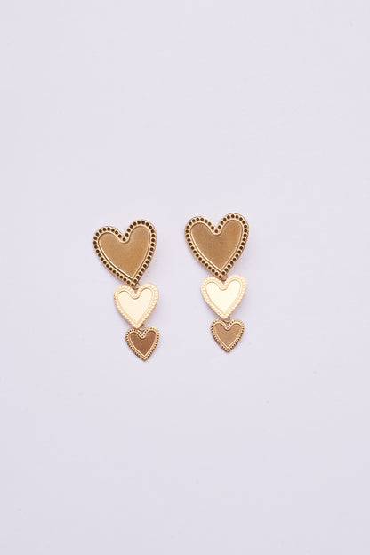 Stainless Steel Earring 122E1500