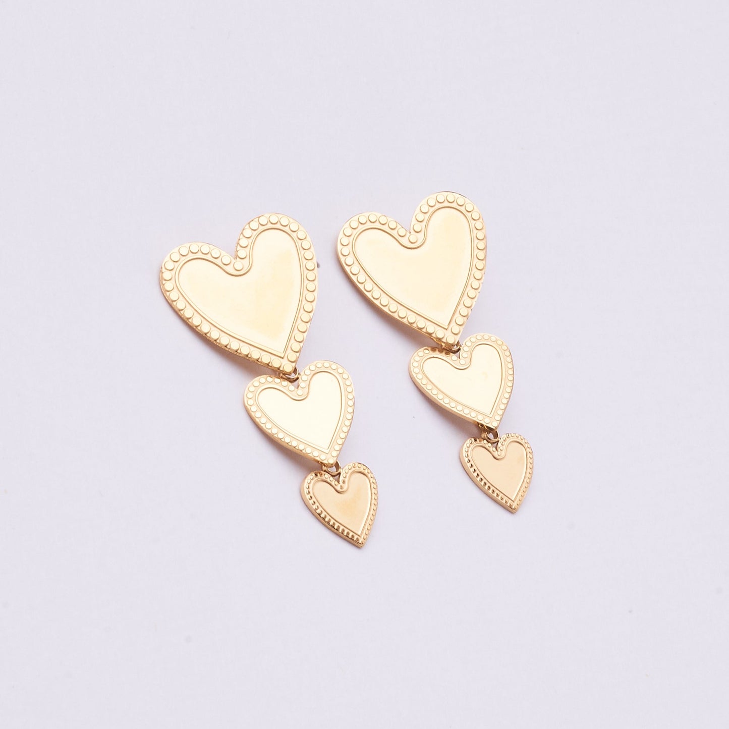 Stainless Steel Earring 122E1500