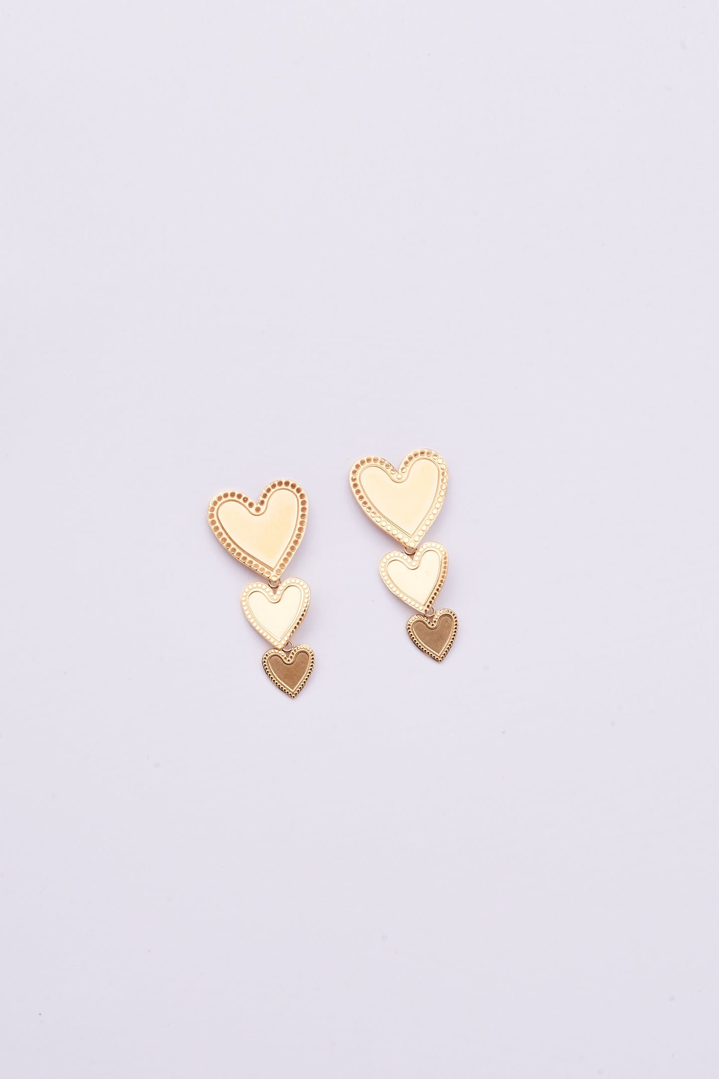Stainless Steel Earring 122E1500