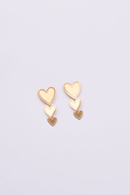 Stainless Steel Earring 122E1500