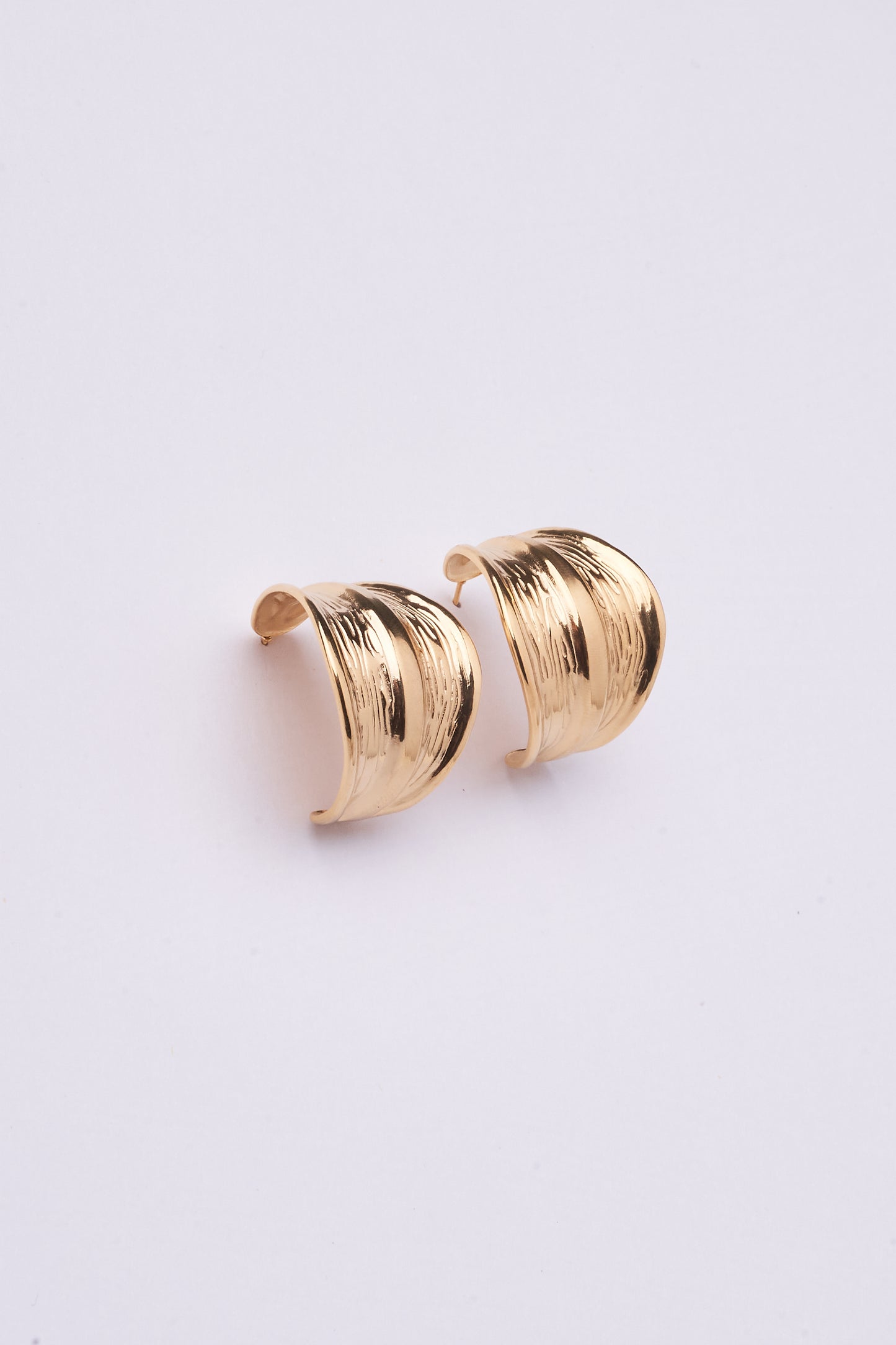 Stainless Steel Earring 123E2275
