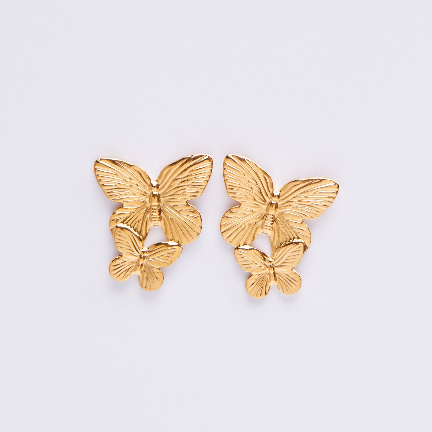 Stainless Steel Earrings E343