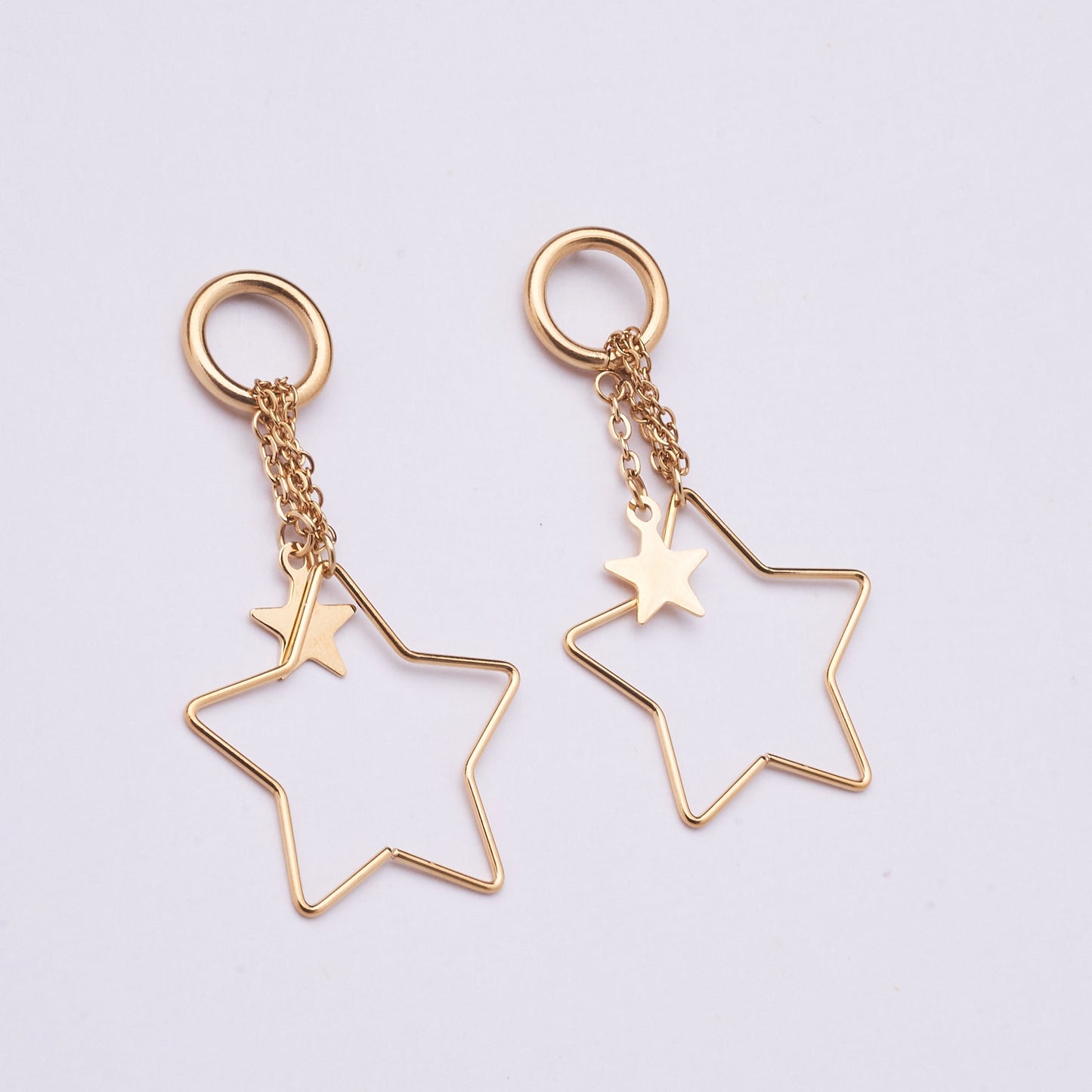 Stainless Steel Earrings 123E2276