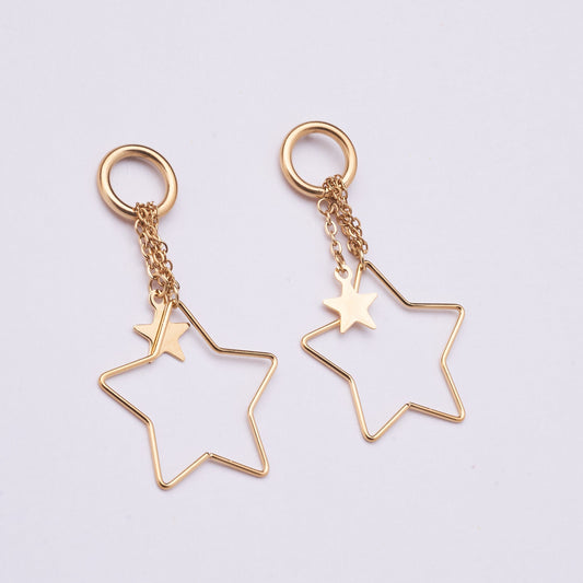 Stainless Steel Earrings 123E2276
