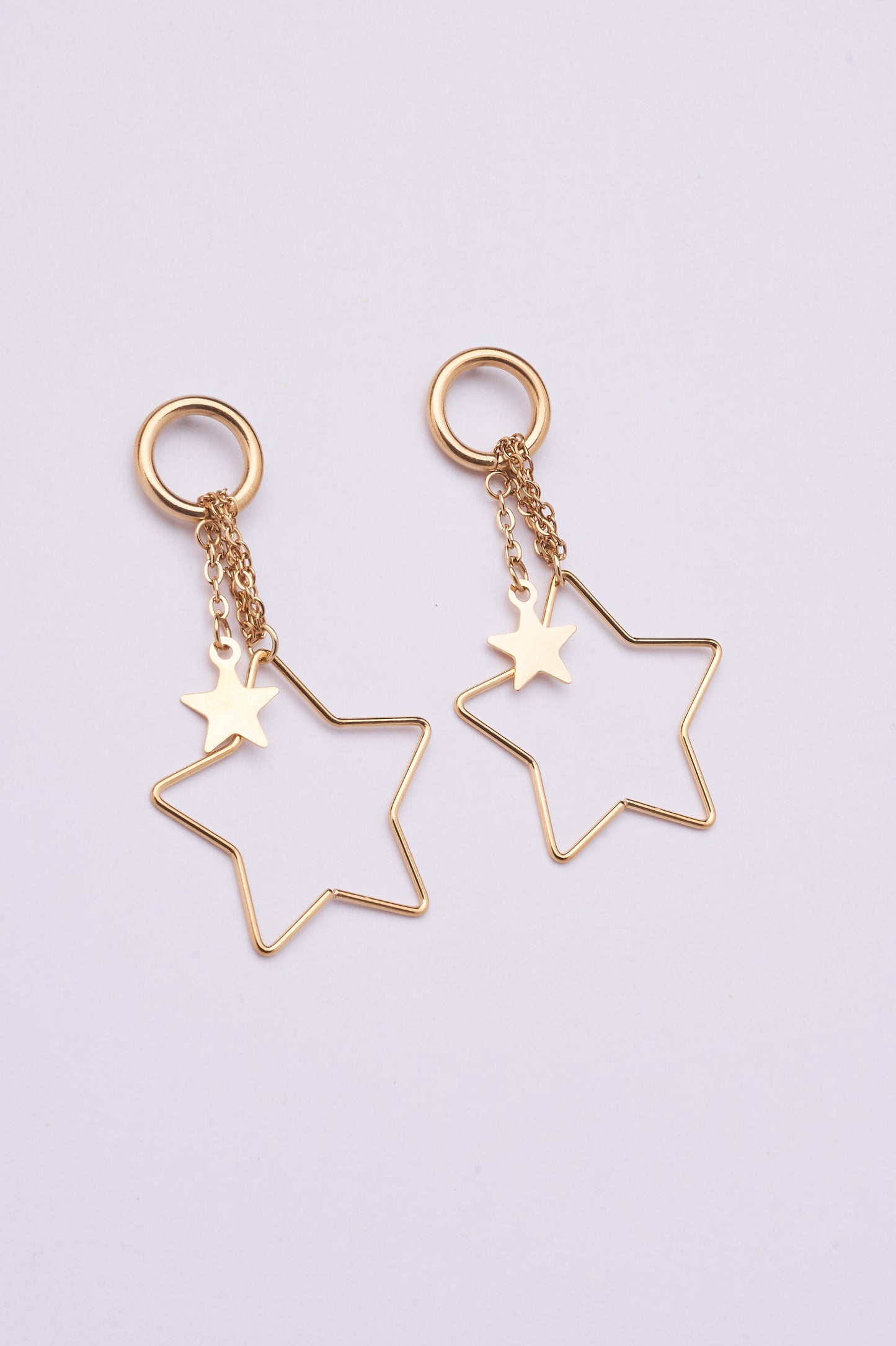 Stainless Steel Earrings 123E2276