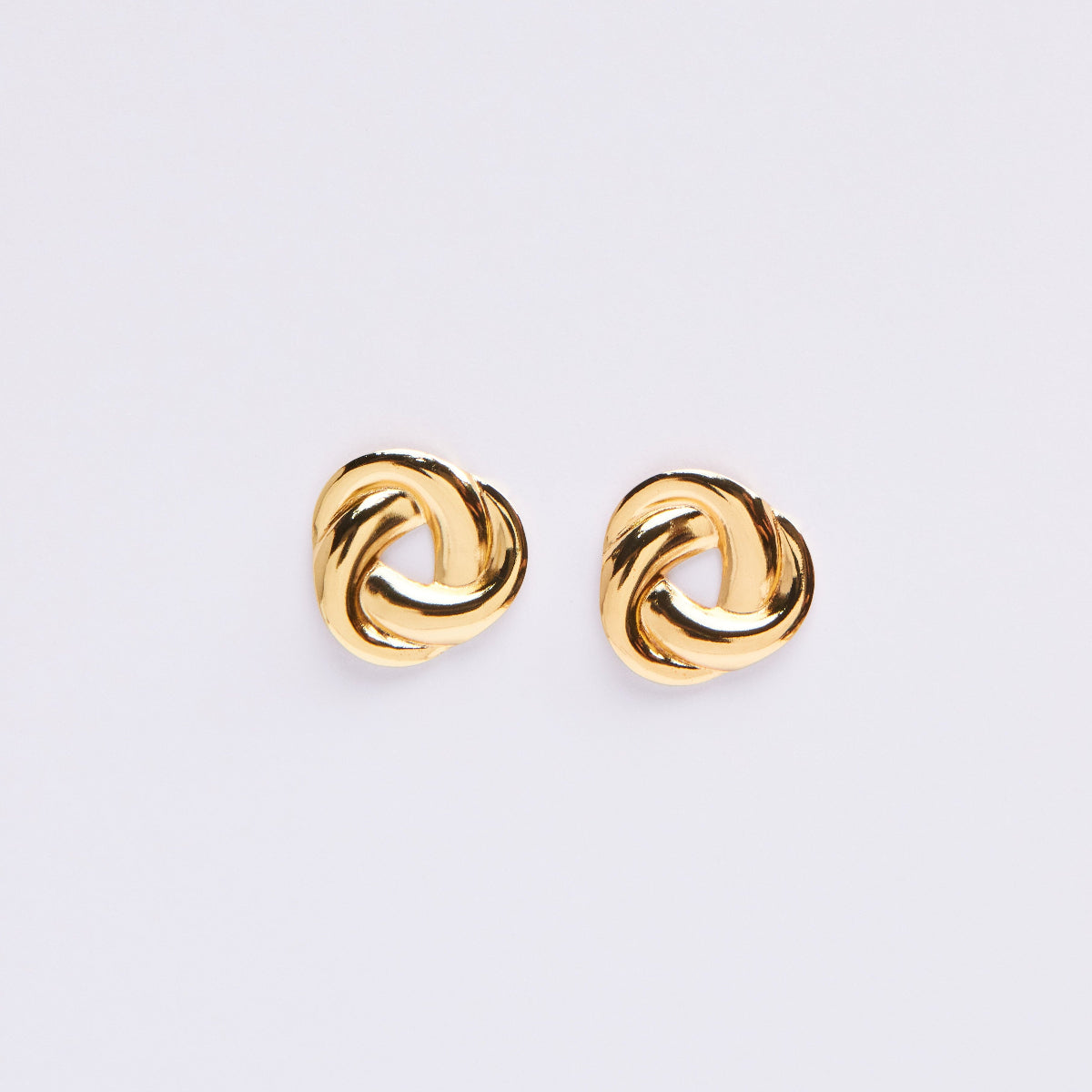 Stainless Steel Earrings E418G