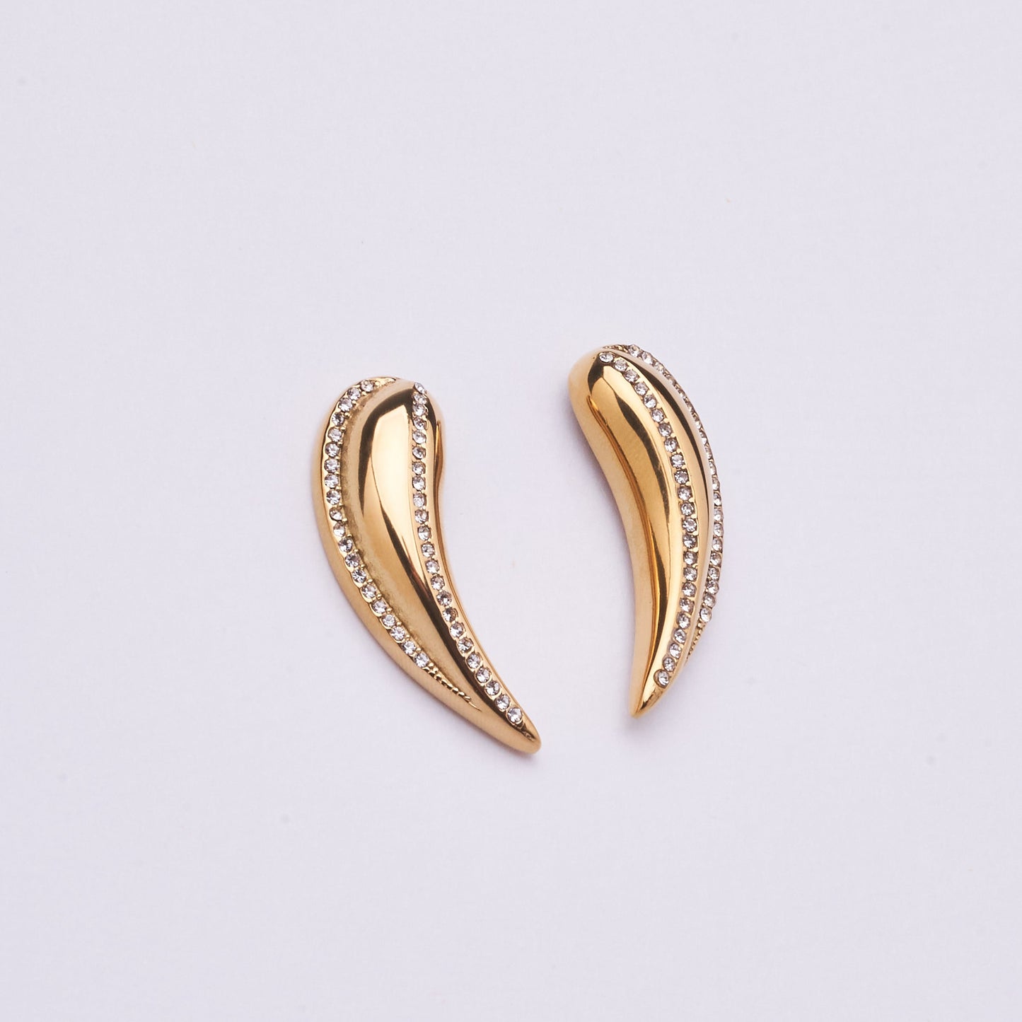 Stainless Steel Earring 123E2271
