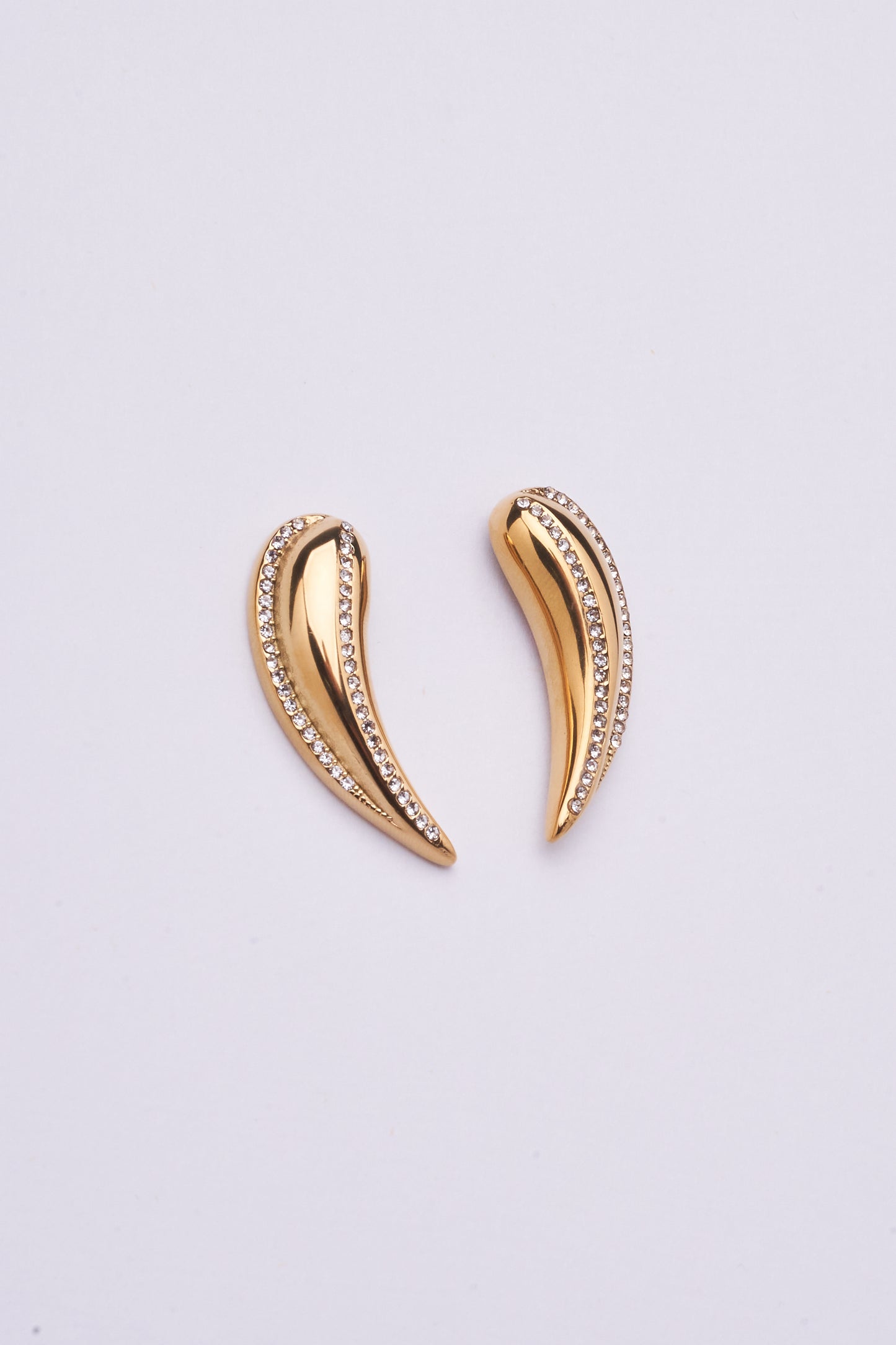 Stainless Steel Earring 123E2271