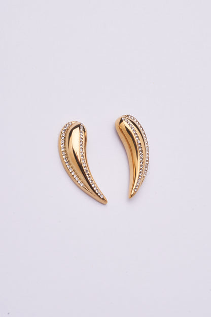 Stainless Steel Earring 123E2271