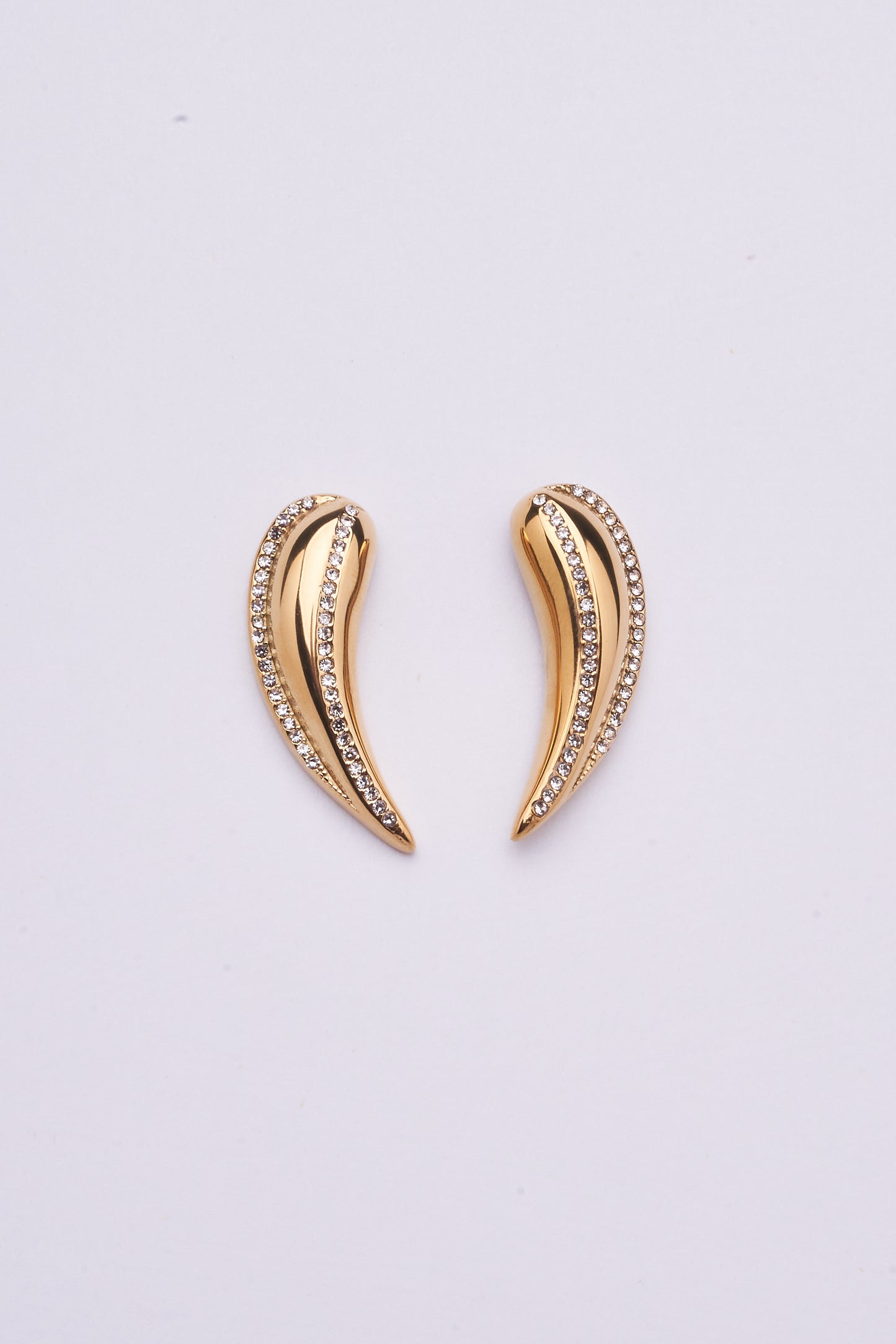 Stainless Steel Earring 123E2271