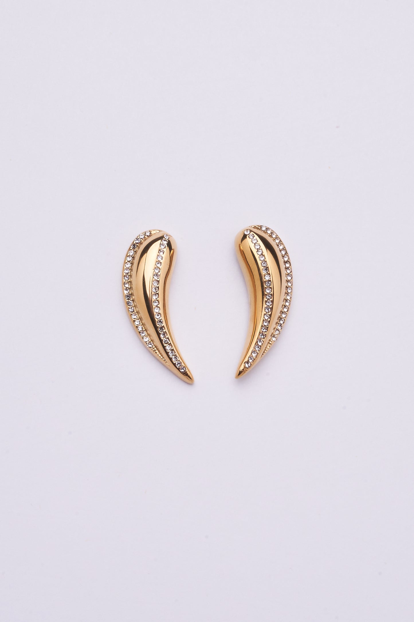 Stainless Steel Earring 123E2271