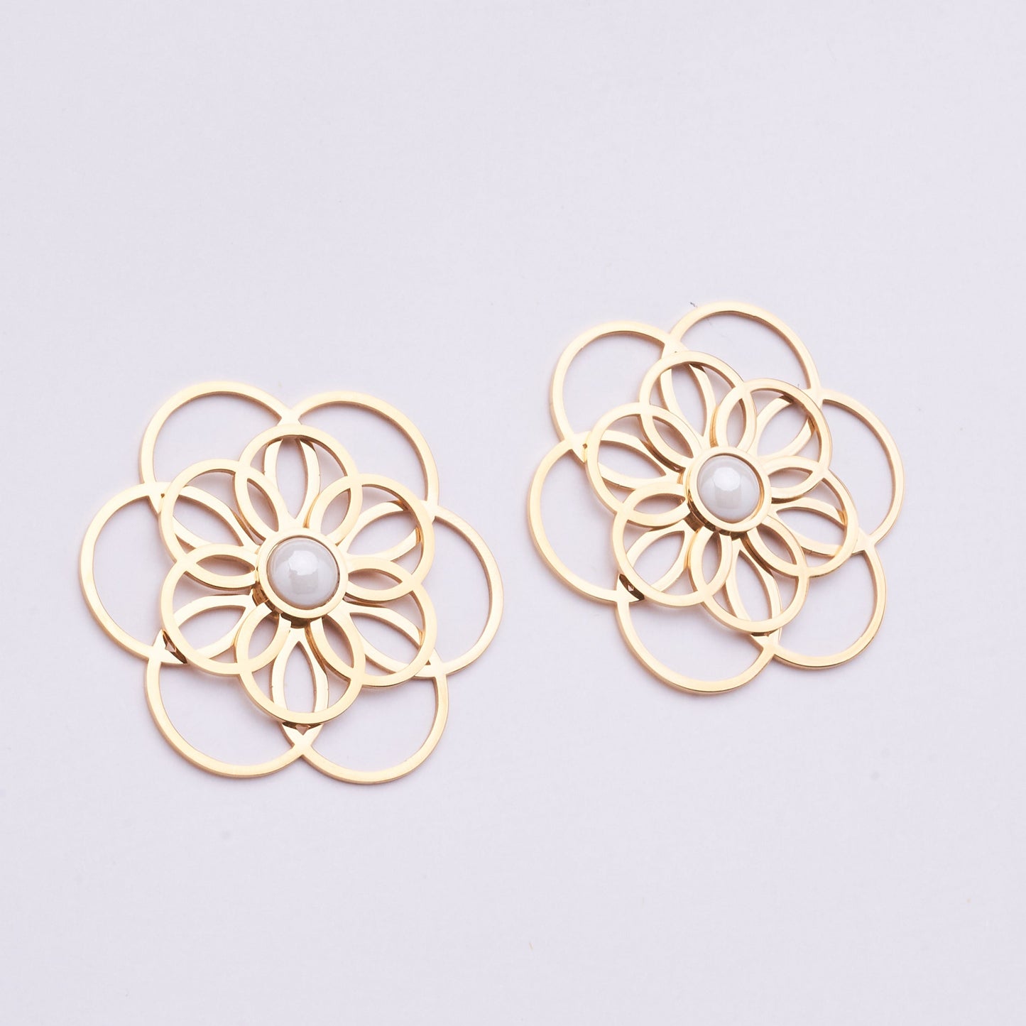 Stainless Steel Earrings 122E1543