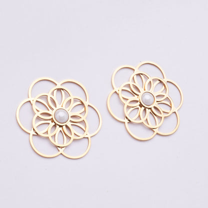 Stainless Steel Earrings 122E1543