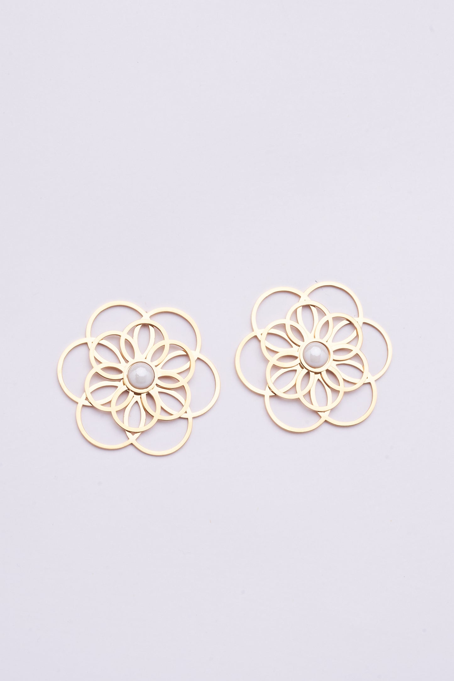 Stainless Steel Earrings 122E1543